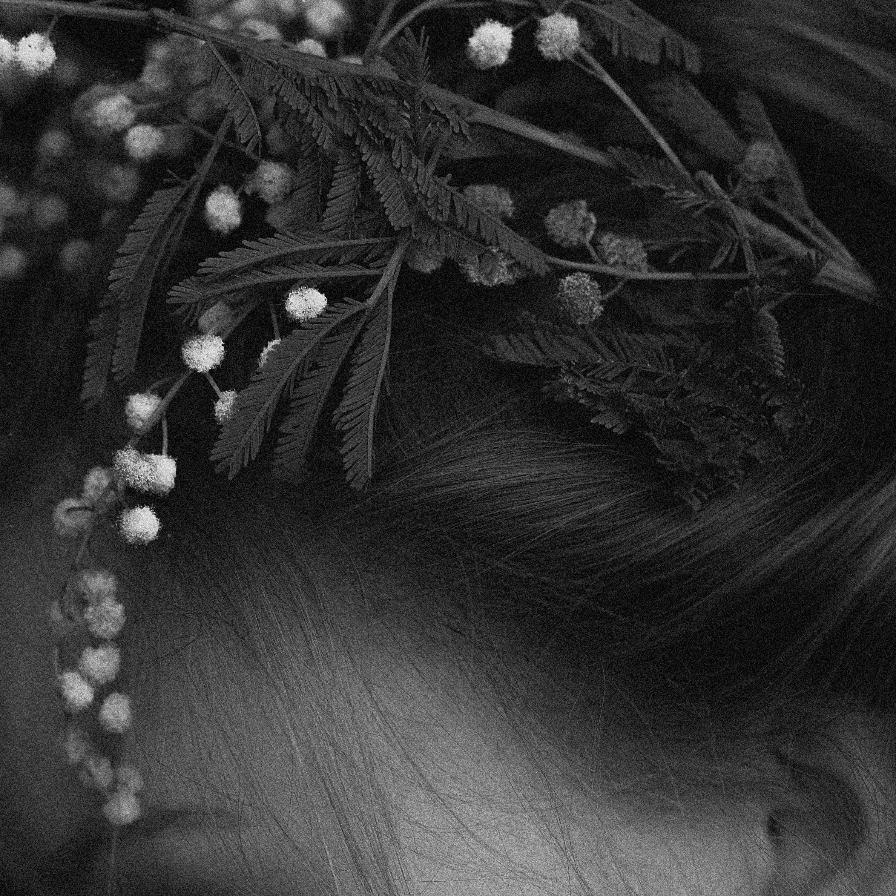 Eternal Bloom artwork